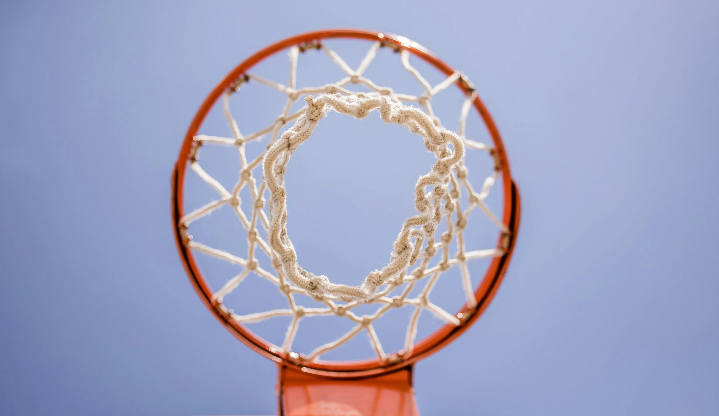 a basketball hoop with a basketball going through it, inspired by Mia Brownell, pexels contest winner, net art, subject made of white mesh rope, sports logo, glazed, center punched