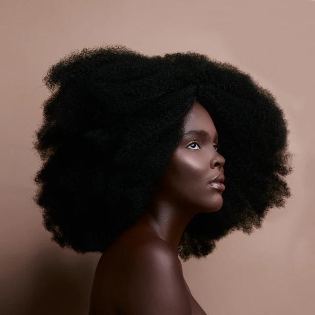 a close up of a person with an afro, by Lily Delissa Joseph, pexels contest winner, afrofuturism, dark chocolate hair colour, full body model, lion's mane, beauty retouch