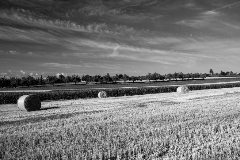 a black and white photo of hay bales in a field, by Karl Pümpin, land art, midwest town, panorama, black & white, sunny landscape