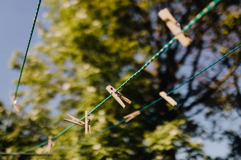 clothes pegs hanging on a clothes line with trees in the background, unsplash, late afternoon light, hanging veins, decorations, shot on sony a 7