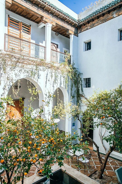 an orange tree in a courtyard next to a building, moroccan tile archways, profile image, apartments, lower and upper levels