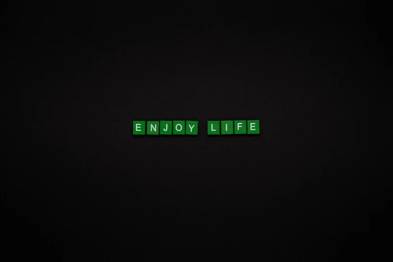 a green sign that says enjoy life on a black background, a picture, by Emma Andijewska, games, luxury lifestyle, mature, emoji