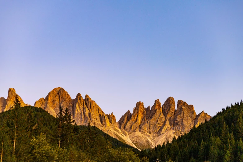 a herd of cattle standing on top of a lush green field, an album cover, by Carlo Martini, pexels contest winner, tall stone spires, mountainous, mantegna, evening time