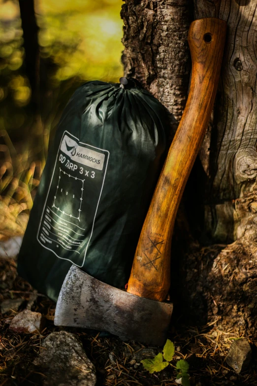 an axe leaning against a tree in the woods, mad trash bags, full product shot, dark green, 8l