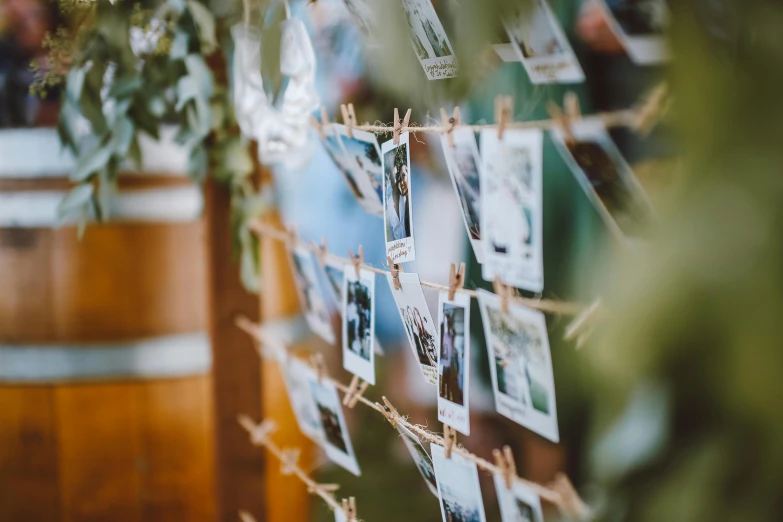 a bunch of photos hanging on a wall, a polaroid photo, unsplash, wedding, hanging trees, profile image, close-up