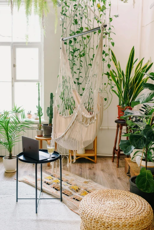 a living room filled with lots of green plants, pexels contest winner, hanging cables, cream - colored room, фото девушка курит, white-space-surrounding