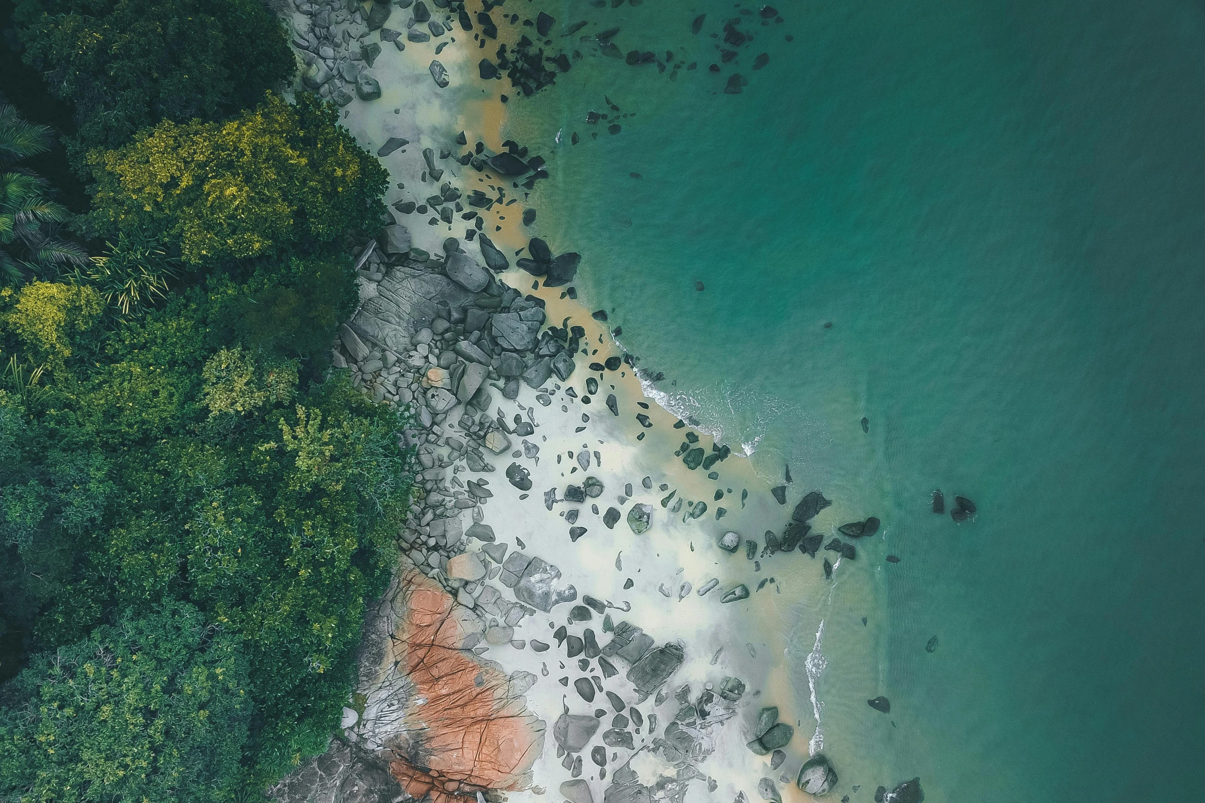 an aerial view of a beach and a body of water, by Alexander Robertson, pexels contest winner, detailed trees and cliffs, deep detailed, paul barson, high quality image