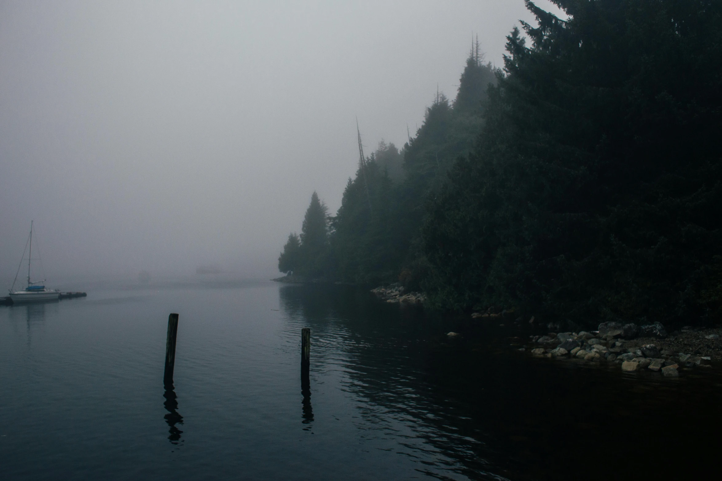 a body of water surrounded by trees on a foggy day, inspired by Elsa Bleda, pexels contest winner, hurufiyya, haida gwaii, grey, eery, lake