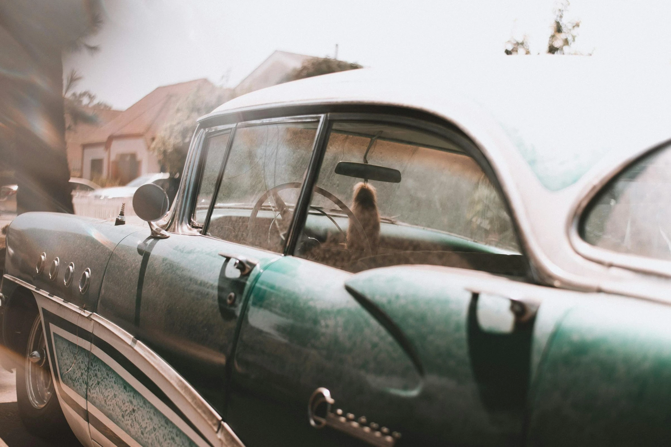 an old green car parked on the side of the road, inspired by Elsa Bleda, pexels contest winner, inside of a car, 1950s vibes, dog watching the car, retro haze