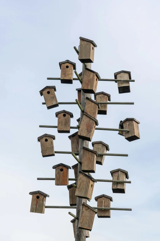 a tree that has a bunch of birdhouses on it, by Paul Bird, trending on pexels, conceptual art, panels, dwell, minn, platforms