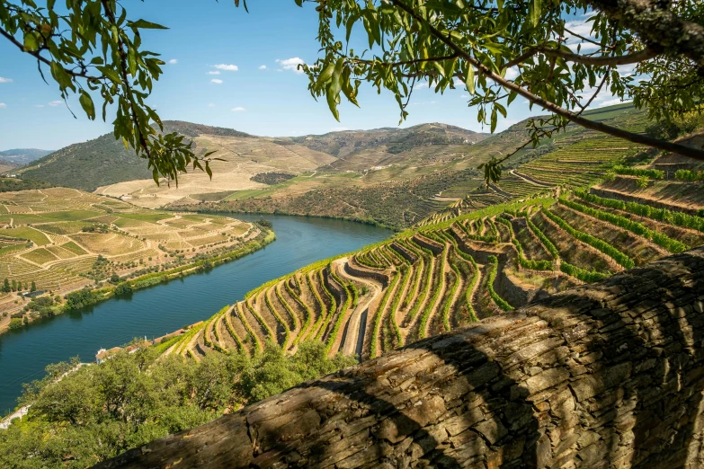 a river running through a lush green valley, by Tom Wänerstrand, pexels contest winner, wine, santiago calatrava, firenado, overlooking