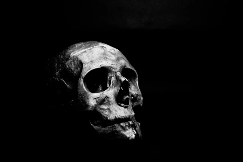 a black and white photo of a skull, by Frederik Vermehren, pexels contest winner, nosferatu, dark-skinned, high contrast 8k, hamlet