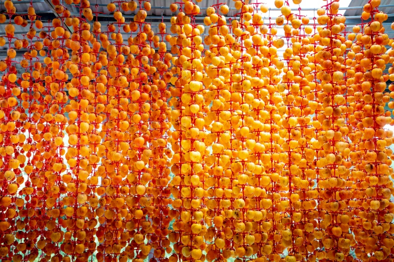 a bunch of oranges hanging from a ceiling, by Weiwei, beaded curtains, yellow dragon head festival, (((luke chueh))), repetition