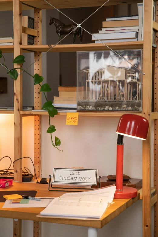 a red lamp sitting on top of a wooden desk, inspired by Wes Anderson, visual art, display case, studio orange, shelves, product introduction photo