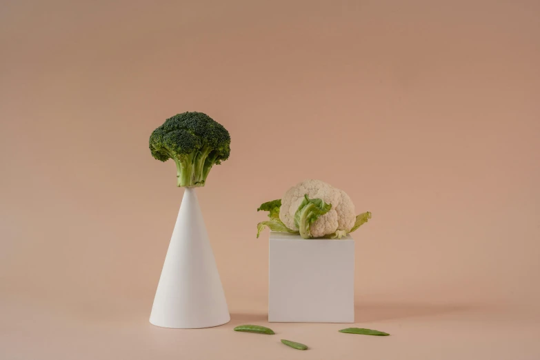 two vases with broccoli and cauliflower in them, inspired by Giorgio Morandi, unsplash, magic realism, levitating agricultural sphere, cone shaped, salad and white colors in scheme, product display photograph