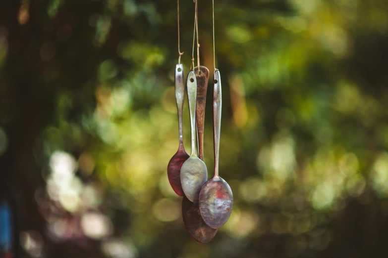 a couple of spoons hanging from a tree, by Sylvia Wishart, unsplash, kinetic art, rustic and weathered, medium close shot, dapped light, music in the air