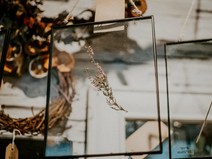 a couple of glass boxes sitting on top of a table, a picture, by Emma Andijewska, trending on unsplash, dried flower, shop front, square pictureframes, things hanging from ceiling