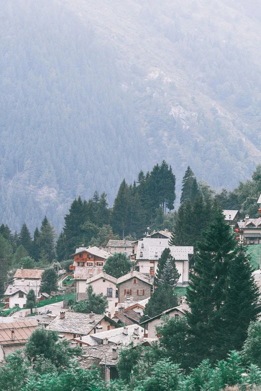 a herd of cattle standing on top of a lush green hillside, an album cover, by Franz Hegi, trending on unsplash, renaissance, tiled roofs, spruce trees, french village exterior, alpine landscape with a cottage