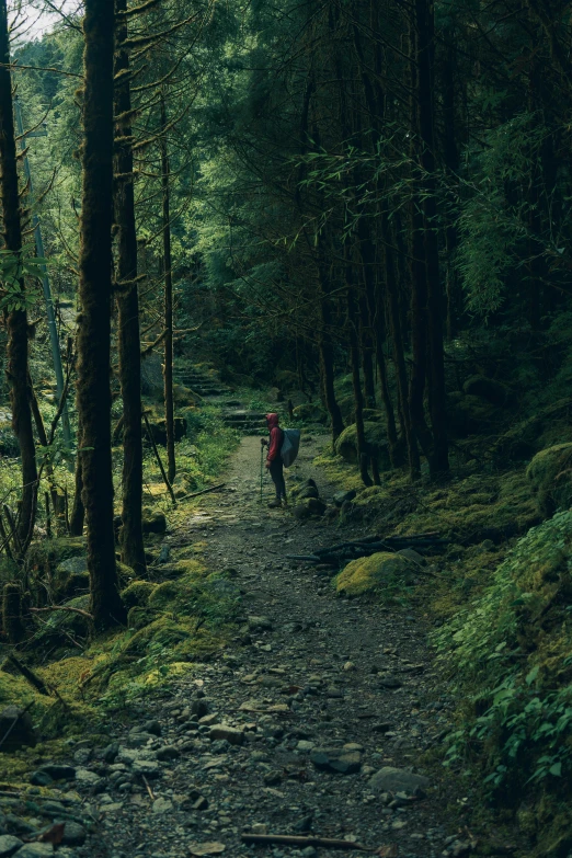 a person walking on a trail through a forest, deep environment, paul barson, ultrawide cinematic, basic