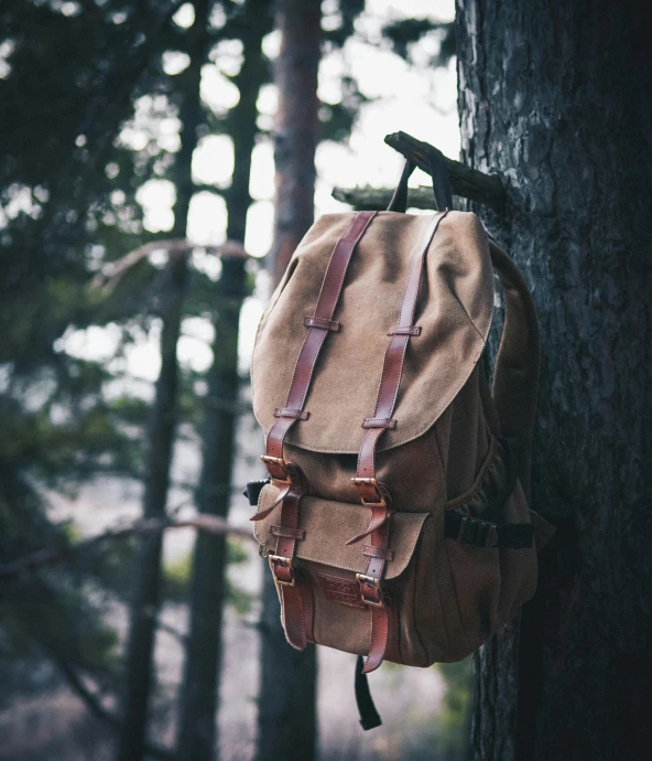 a backpack hanging on a tree in the woods, by Jesper Knudsen, pexels contest winner, renaissance, caramel. rugged, closeup - view, lo - fi, college