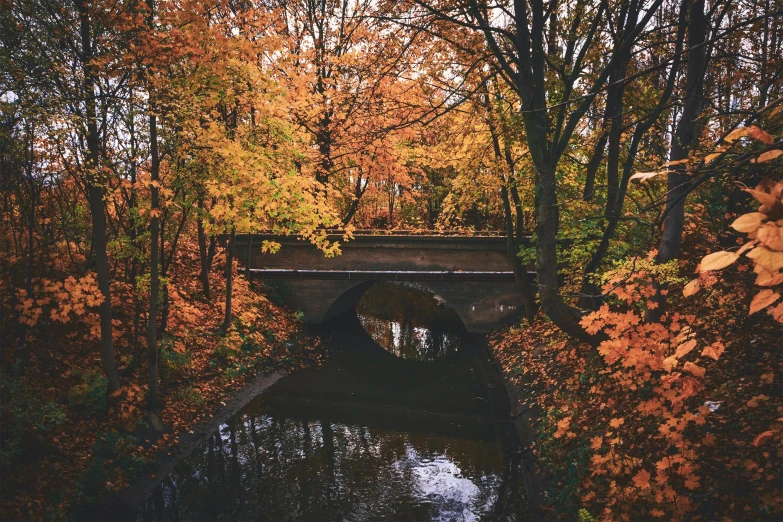 a bridge over a body of water surrounded by trees, a photo, inspired by Elsa Bleda, unsplash contest winner, orange and brown leaves for hair, hannover, hyperrealistic”