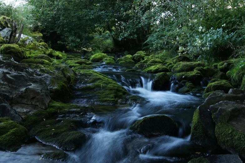 a stream running through a lush green forest, an album cover, pexels contest winner, hurufiyya, wales, black, waterfals, cinematic still frame