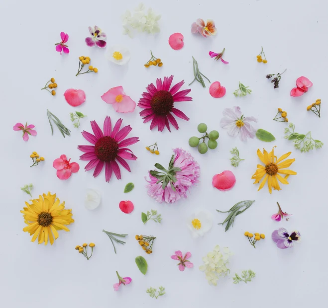 various flowers arranged in a circle on a white surface, trending on unsplash, scattered glowing pink fireflies, made of fruit and flowers, pink and yellow, zoomed out to show entire image