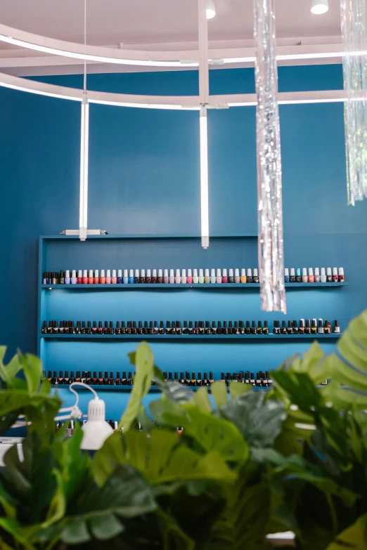 a room filled with lots of bottles of nail polish, verdant plant wall, brightly lit blue room, profile, spa