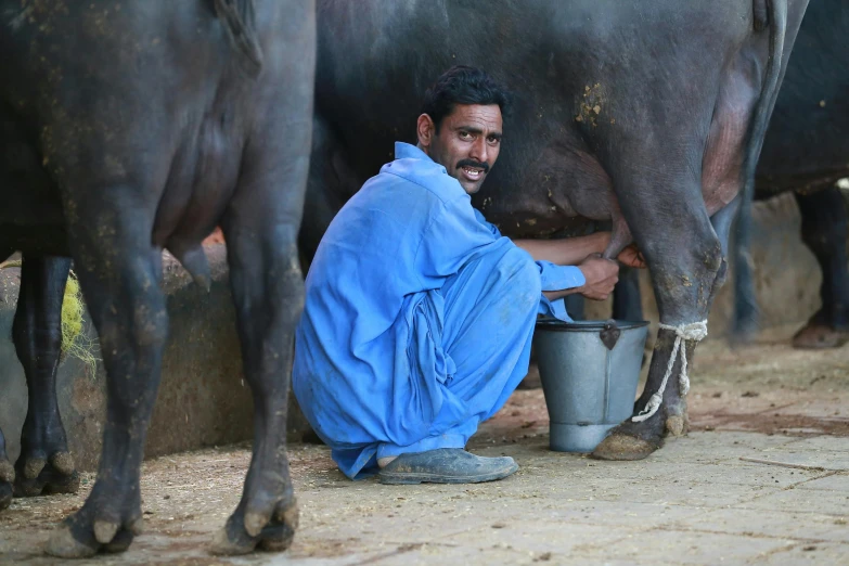 a man is milking a cow with a bucket, inspired by Steve McCurry, pexels contest winner, renaissance, thumbnail, oman, multiple stories, profile image