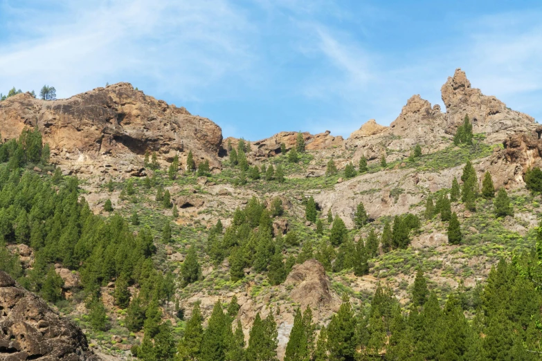 a mountain covered in lots of trees and rocks, unsplash, les nabis, volcanic, atlach - nacha, 2000s photo