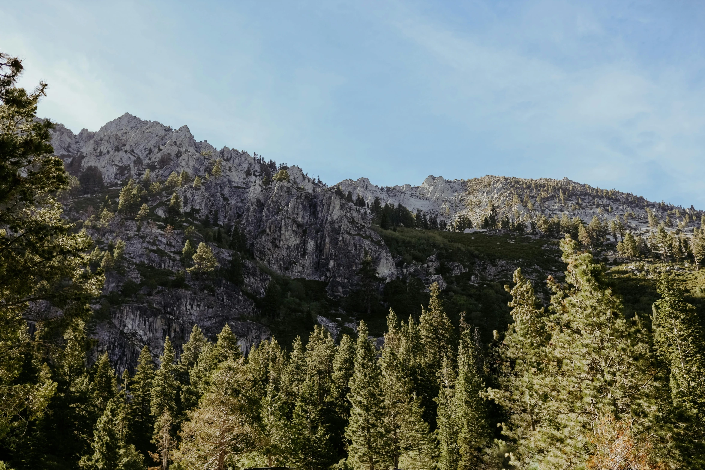 a group of people riding skis on top of a snow covered slope, a picture, unsplash, trees and cliffs, set photo, central california, forests. map-style skyrim