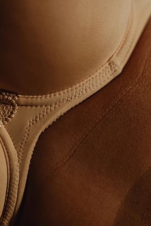 a close up of a woman's bra, a macro photograph, by Alexander Mann, leather and suede, full frame image, knee, light brown