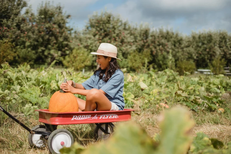 a woman sitting in a wagon holding a pumpkin, pexels, process art, big island, farms, an olive skinned, gardening