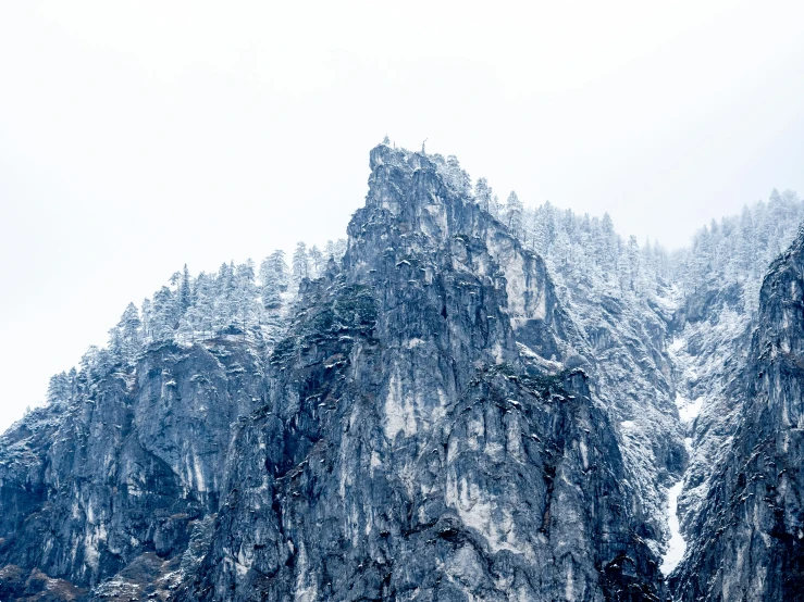 a large mountain covered in snow next to a forest, by Winona Nelson, pexels contest winner, visual art, steep cliffs, grey mist, stacked image, ultra high pixel detail