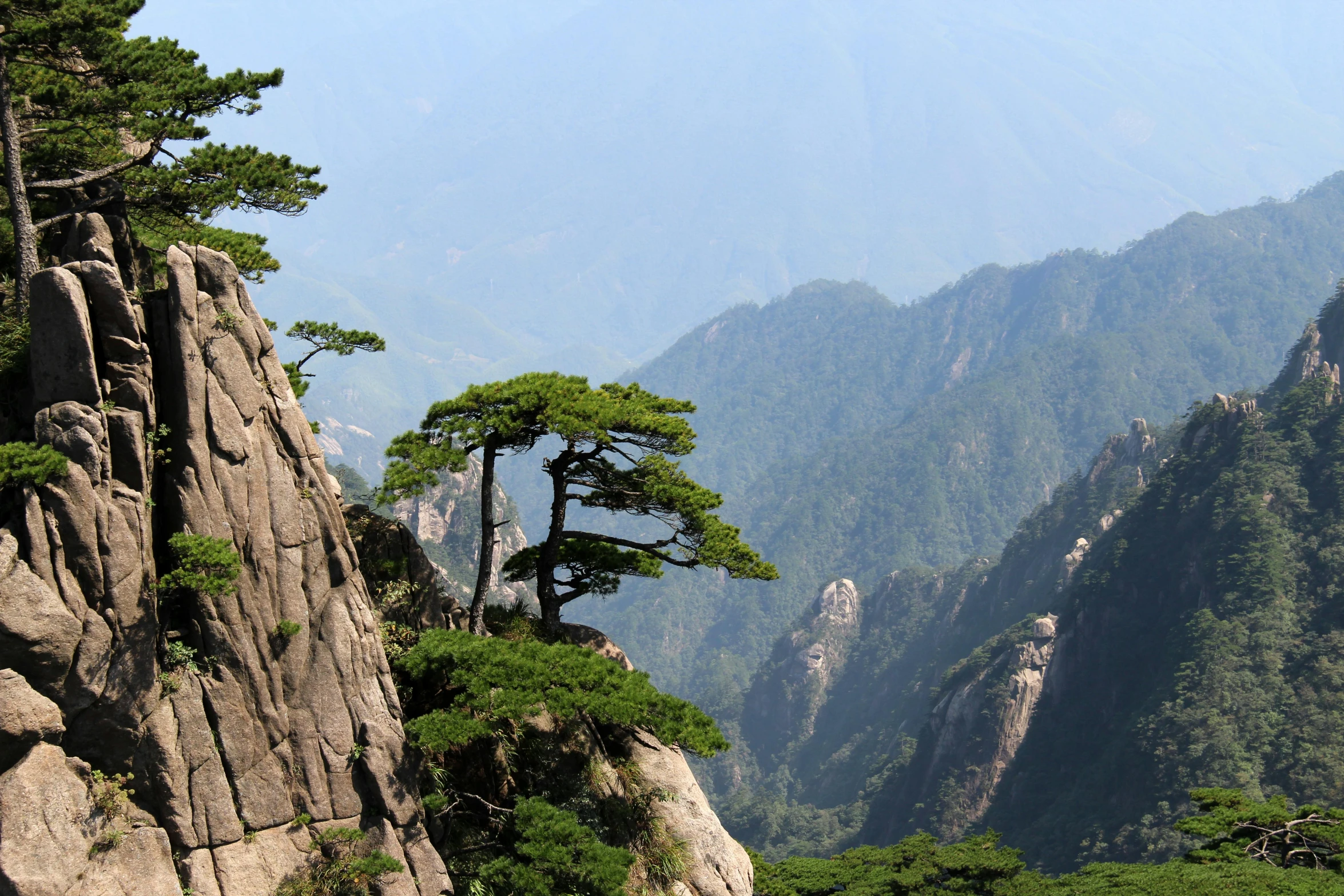 a group of pine trees sitting on top of a mountain, inspired by Ma Yuan, pexels contest winner, sōsaku hanga, chiseled formations, kung fu, view from the side, extremely clear and coherent