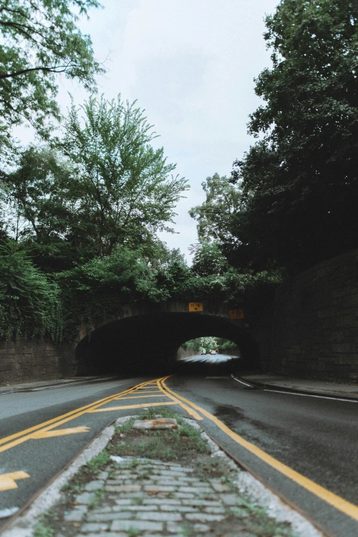 a red fire hydrant sitting on the side of a road, a picture, inspired by Elsa Bleda, unsplash, graffiti, stone bridge, entrance to a dark tunnel, gopro photo, curved trees