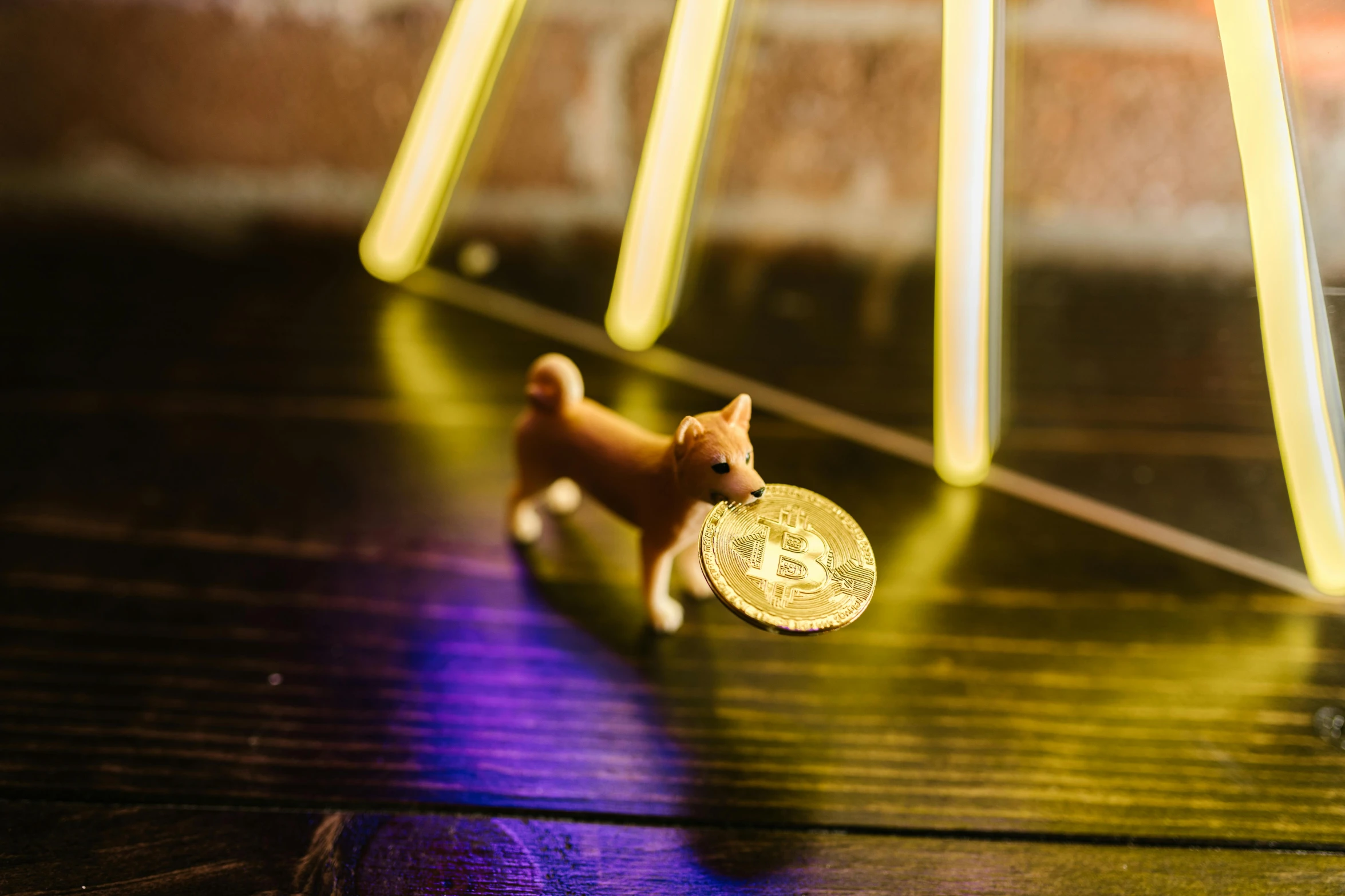 a toy dog sitting on top of a wooden table, unsplash, holography, coin, beautiful kawaii lighting, edible crypto, shibu inu