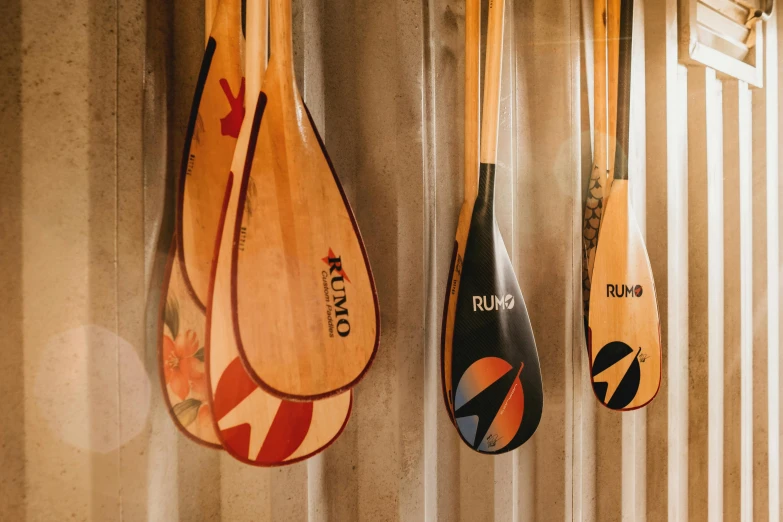 a row of paddles hanging on a wall, a picture, unsplash, sōsaku hanga, 🦩🪐🐞👩🏻🦳, tom richmond, retro style ”, limbs