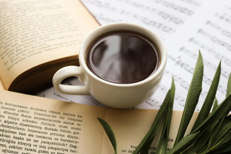 a cup of coffee sitting on top of an open book, an album cover, chocolate, sheet music, thumbnail, multiple stories