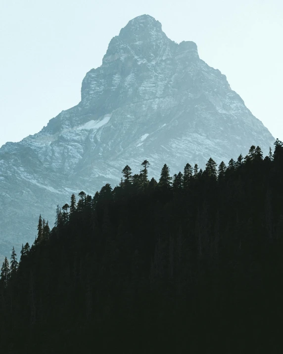 a mountain in the distance with trees in the foreground, inspired by Peter Zumthor, unsplash contest winner, portrait of tall, snowy peak, no cropping, minimalist photo