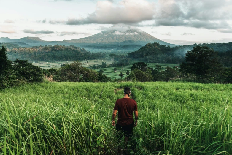 a man walking through a lush green field, unsplash contest winner, sumatraism, with a volcano in the background, avatar image, background image, jungle clearing