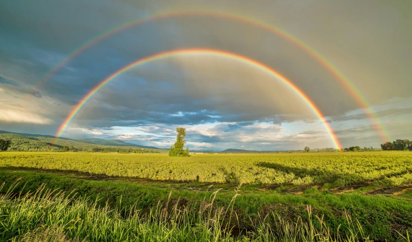 a rainbow that is in the sky over a field, pexels contest winner, 2 5 6 x 2 5 6 pixels, large twin sunset, grey, getty images