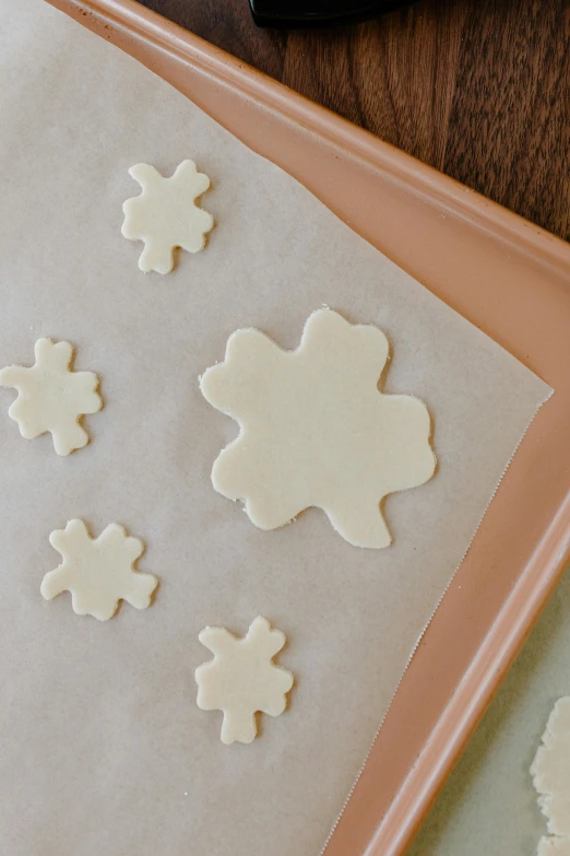 a tray of cookies sitting on top of a table, a jigsaw puzzle, snowflakes, organic shapes, on vellum, medium closeup
