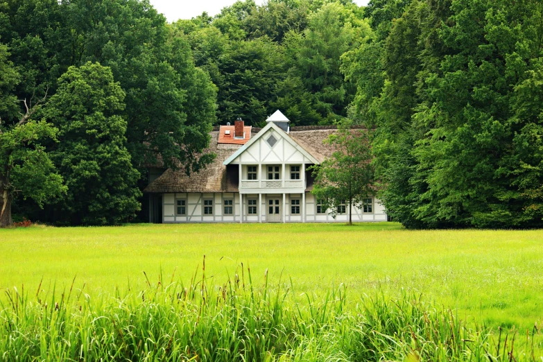 a large white house sitting on top of a lush green field, inspired by Georg Friedrich Schmidt, pixabay, arts and crafts movement, beautiful swedish forest view, thatched roof, museum photo, fan favorite