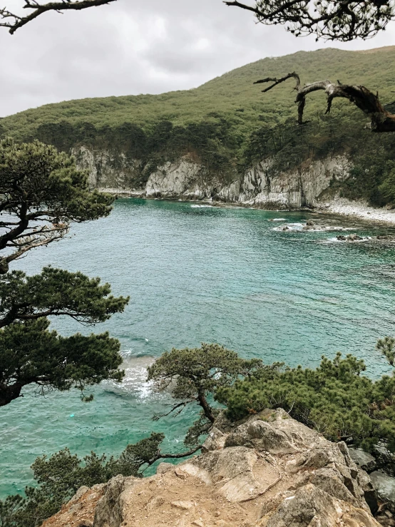 a large body of water surrounded by trees, a photo, inspired by Hasegawa Tōhaku, pexels contest winner, coastal cliffs, 2 5 6 x 2 5 6 pixels, photo on iphone, gunma prefecture