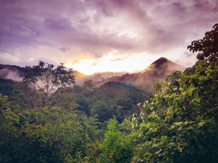 the sun is setting over the mountains and trees, by Jessie Algie, pexels contest winner, sumatraism, jamaica, lush rainforest, instagram post, dramatic warm morning light