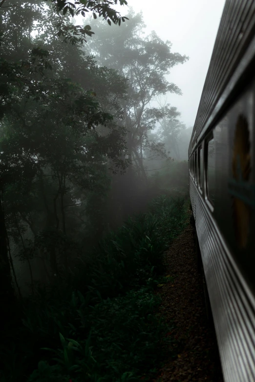 a train traveling through a lush green forest, inspired by Steve McCurry, unsplash contest winner, photorealism, rain and light fog, dark jungle, malaysia jungle, view from the side”