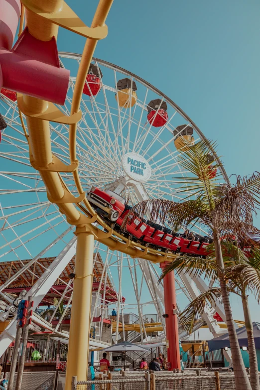 a ferris wheel in an amusement park with palm trees, pexels contest winner, oh the places you'll go, it has a red and black paint, california;, bumper cars