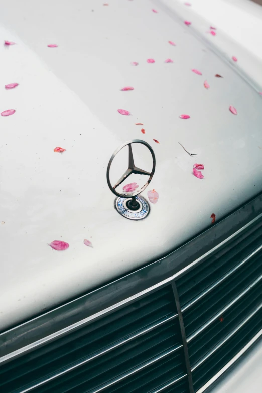 a mercedes logo on the hood of a car, an album cover, by Gavin Hamilton, trending on pexels, aestheticism, falling petals, rosette, petra collins, white metallic