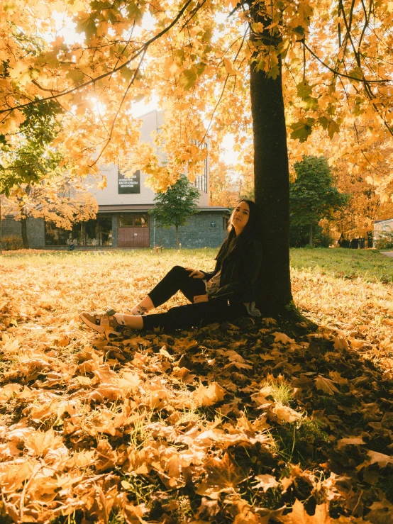 a woman sitting under a tree in the fall, inspired by Elsa Bleda, unsplash contest winner, 🍂 cute, university, gold hour light, ignant